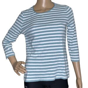 Charter Club stripe glitter top, petite large